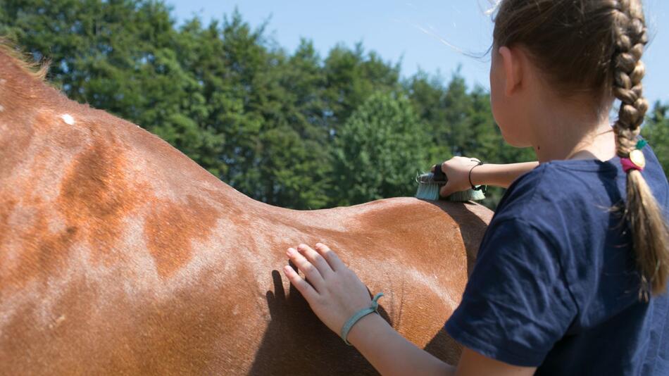 Eine Mädchen striegelt ein Pferd