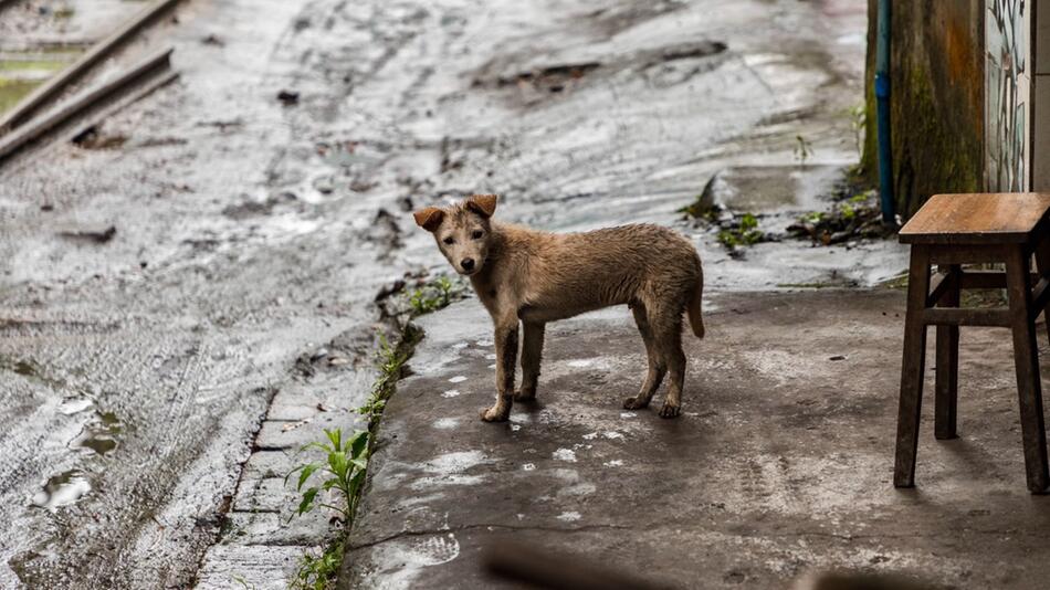 Umwelt- und Naturschutz liegt dem Land am Herzen.