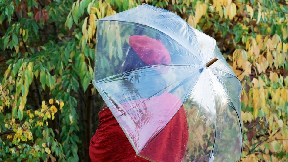 Silhouette einer Frau, die unter einem Regenschirm gegen Bäume steht