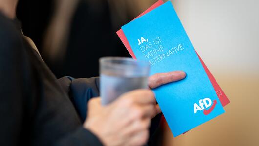 Landesparteitag AfD Thüringen