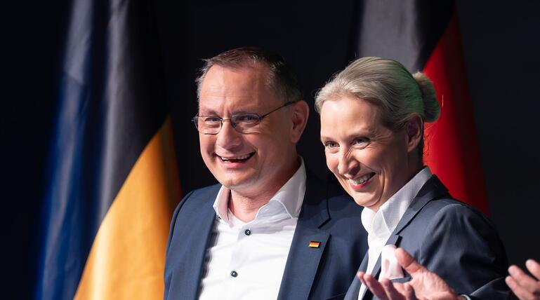 Wahlkampfabschluss der AfD Baden-Württemberg
