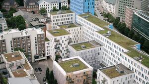Ein Wohnquartier mit begrünten Dächern in Hamburg