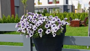 Ein Plastiktopf mit einem Blumenstrauß, der an einem Zaun hängt.