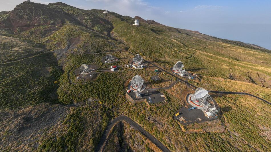 Weshalb vier Riesenspiegel auf der Insel La Palma stehen