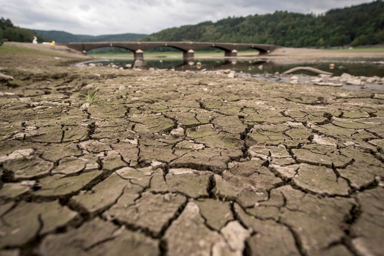 Bild zu Weltklimarat IPCC - Dürre