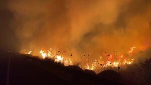 Waldbrände durch Hisbollah-Beschuss