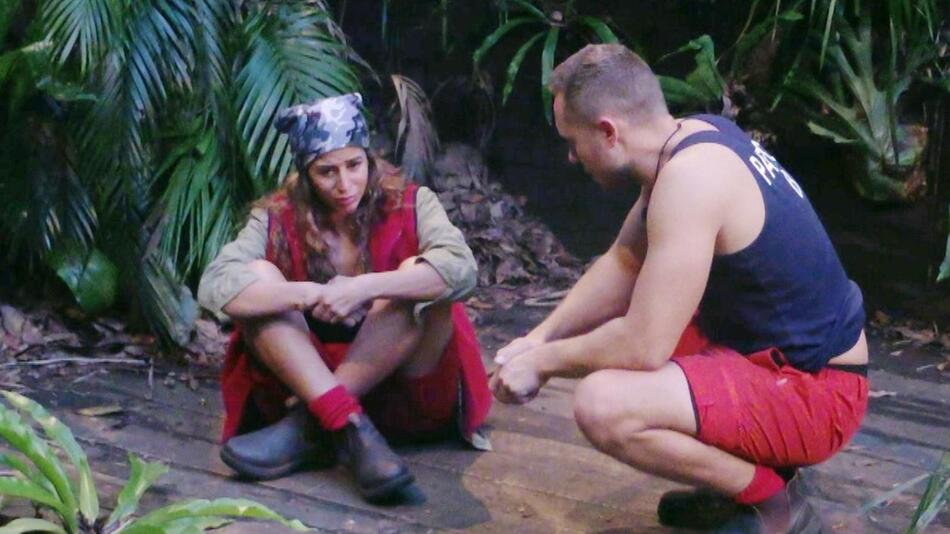 Dschungelcamp: Die Promis haben "die Schnauze voll"