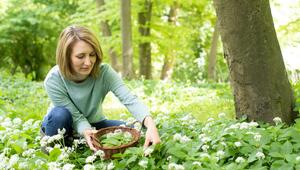 Bärlauch, Frühling, Kräuter, Gewürz, lecker, Essen, Natur, Wald, Essen, Rezepte, 