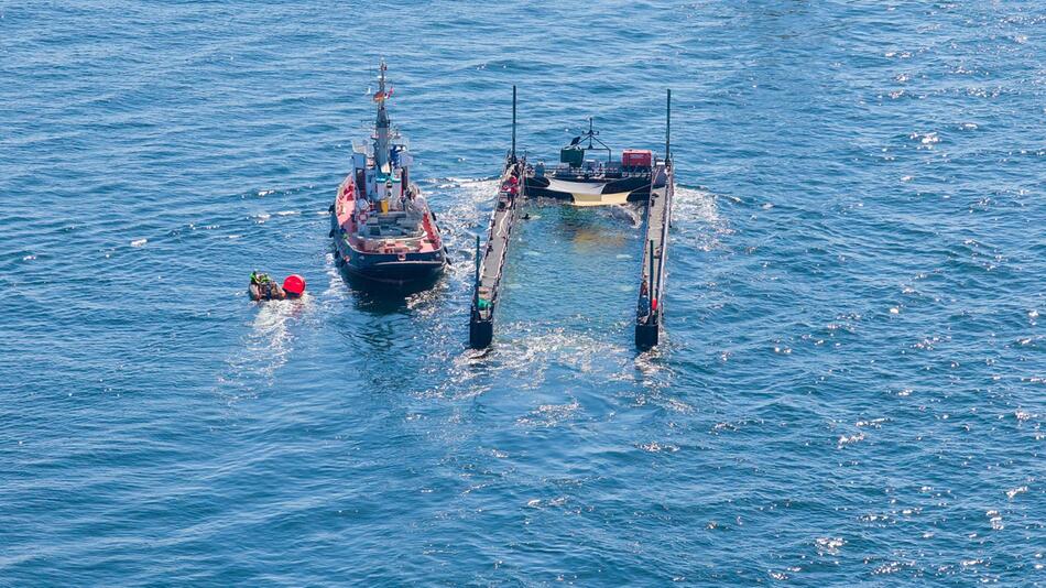 Wal ist wieder im Meer – doch es gibt Probleme