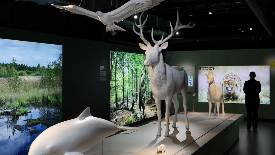 Viele Besucher in der "Botschaft der Wildtiere" in der Hafencity