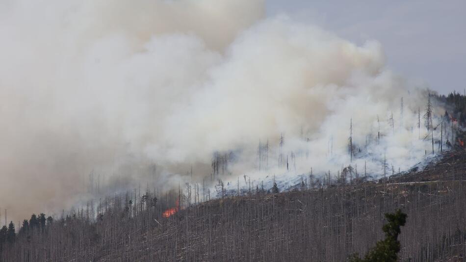 Brand am Königsberg im Harz