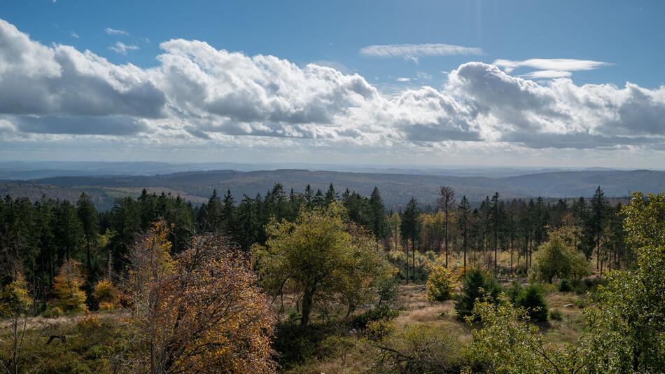 Nationalpark Hunsrück-Hochwald