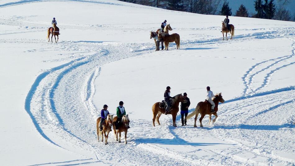 Weiße Pracht: Ausreiten im Schnee.