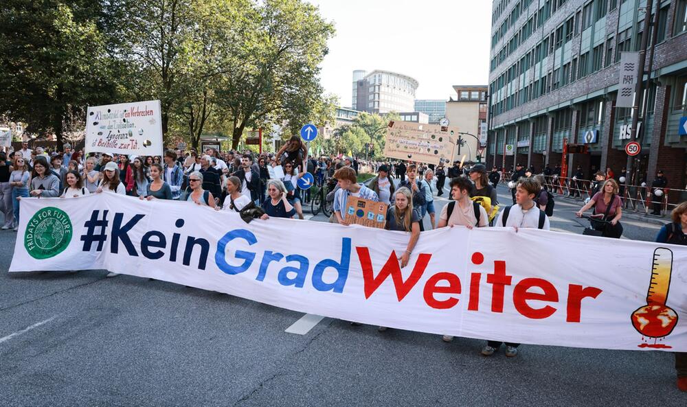 Aufruf zum Klimastreik von Fridays for Future - Hamburg