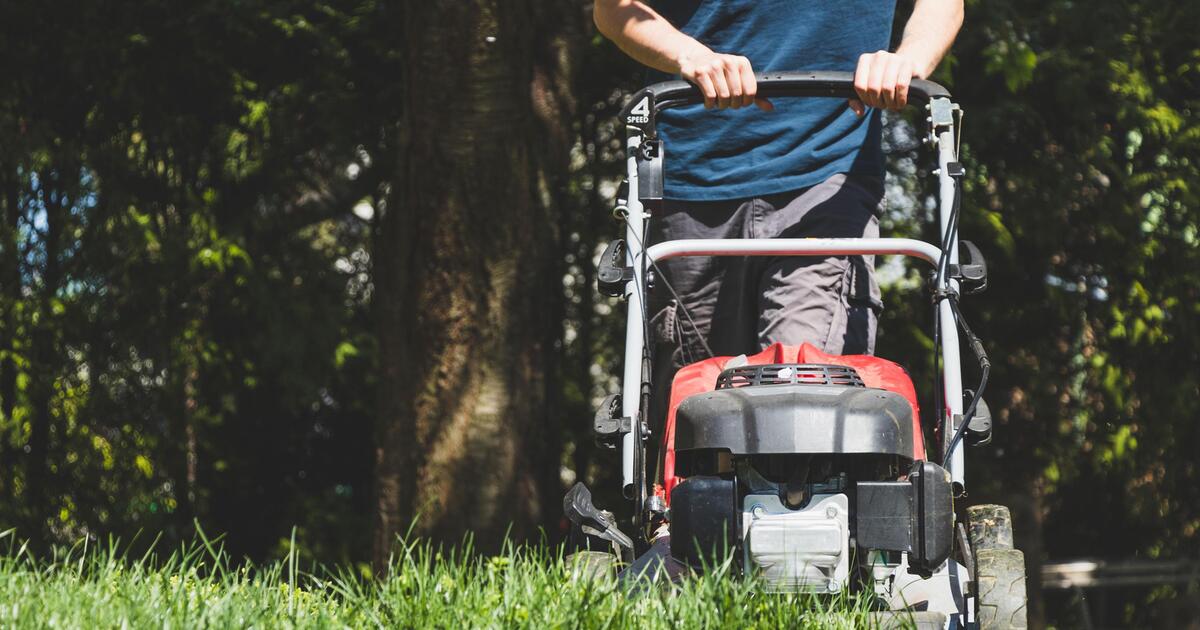 So machen Sie Ihren Rasen fit für den Frühling GMX