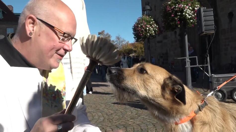 Gebell statt Glockenklang: 50 Hunde empfangen Segen vor Osnabrücker Dom