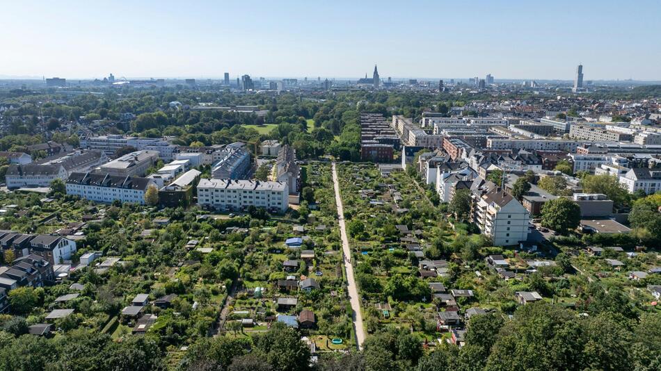 Neue Grundsteuer ab 2025: Warum der Plan der Stadt Wohnen in Köln deutlich teurer macht