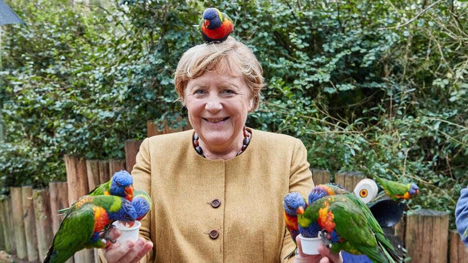 Angela Merkel, Vogel