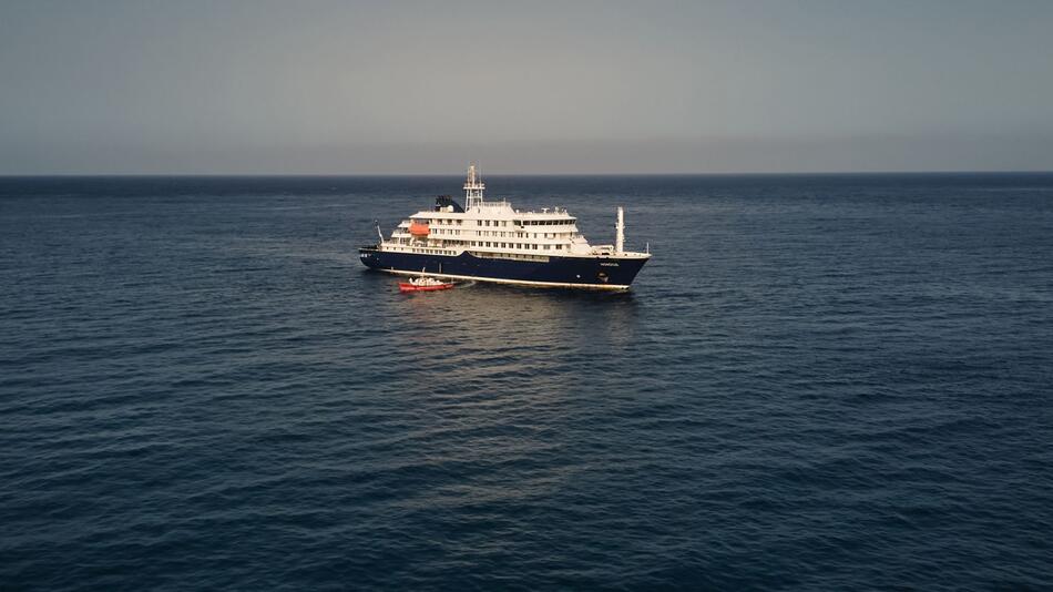 Wie gefährlich ist das Hantavirus auf einem Kreuzfahrtschiff?