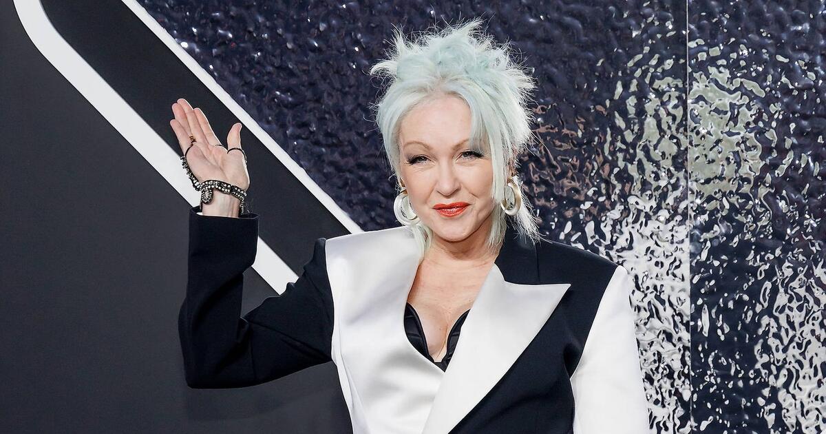 All About Cyndi Lauper's Son, Fellow Musician Declyn