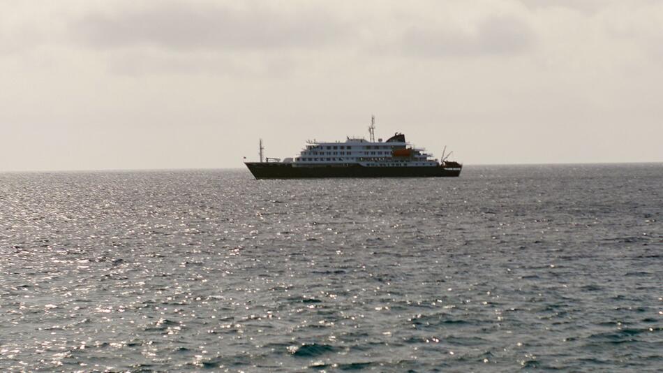 Hantavirus-Ausbruch auf Schiff: Was bislang bekannt ist – und was nicht