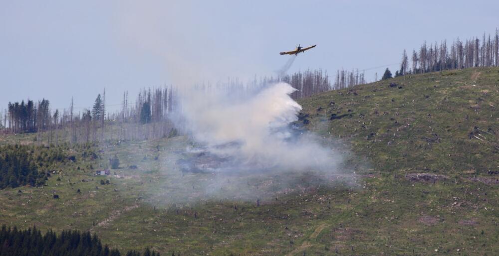 Waldbrand im Harz
