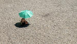 Wetter in Bayern