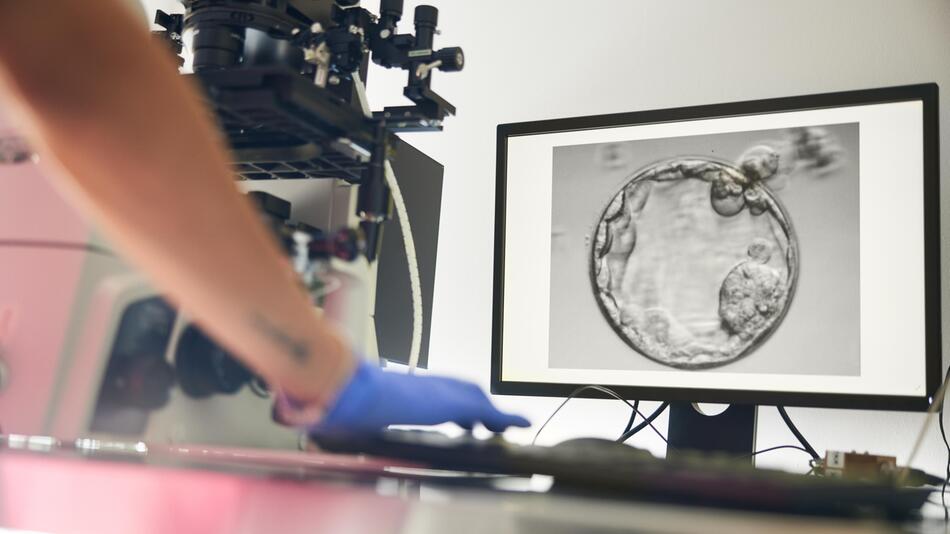 Frau bekommt in Italien falschen Embryo eingesetzt