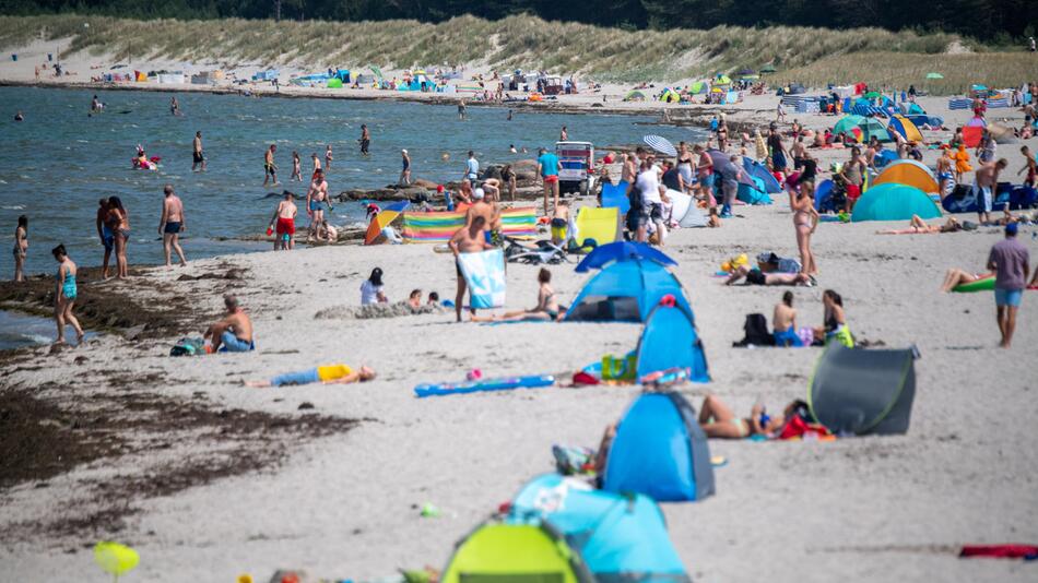 Vibrionen-Infektionen an deutschen Küsten: Schon zwei Todesfälle