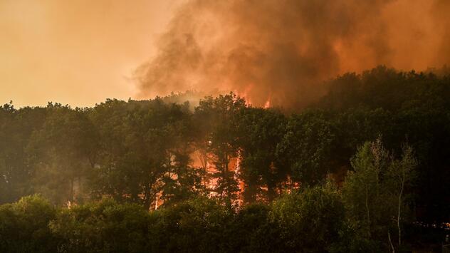 Waldbrände, Hitze, Trockenheit, Waldbrandgefahr, Klima, Klimawandel
