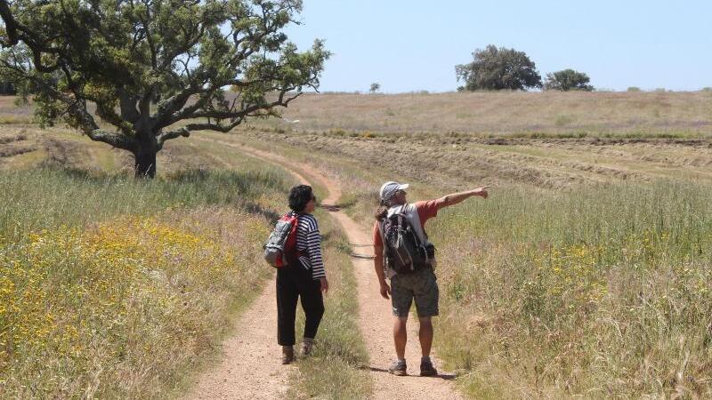 Wanderer in Alentejo