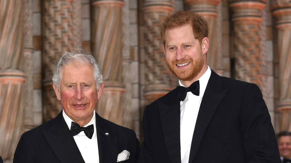 Ende der Eiszeit? König Charles und Harry vor Wiedersehen