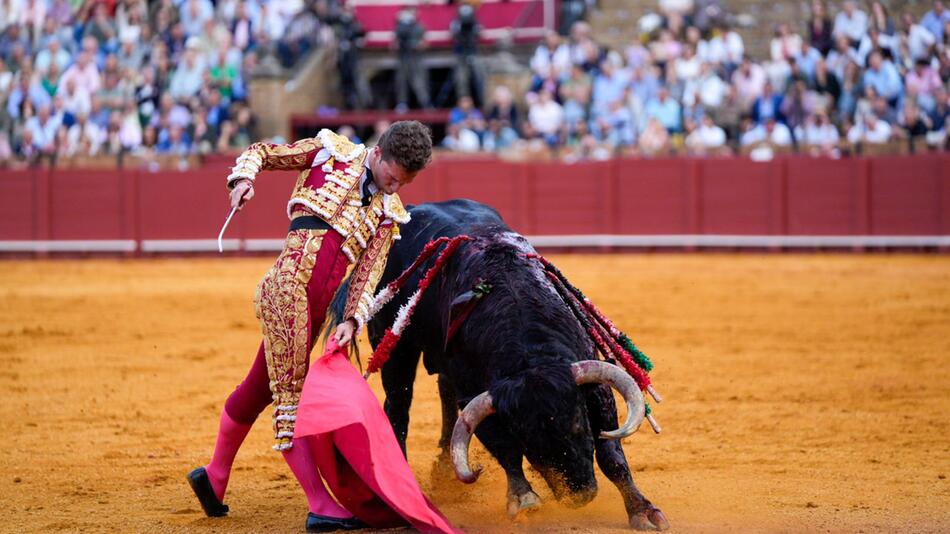 Stierkampf in Sevilla