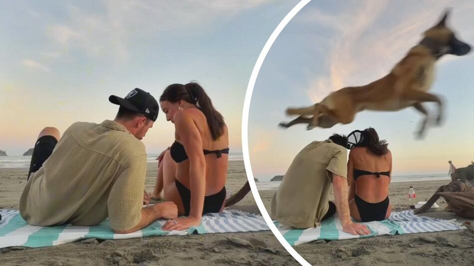 Paar genießt romantischen Moment am Strand – da kommt ein Hund angeflogen