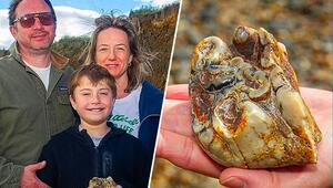 Familie und Fossil