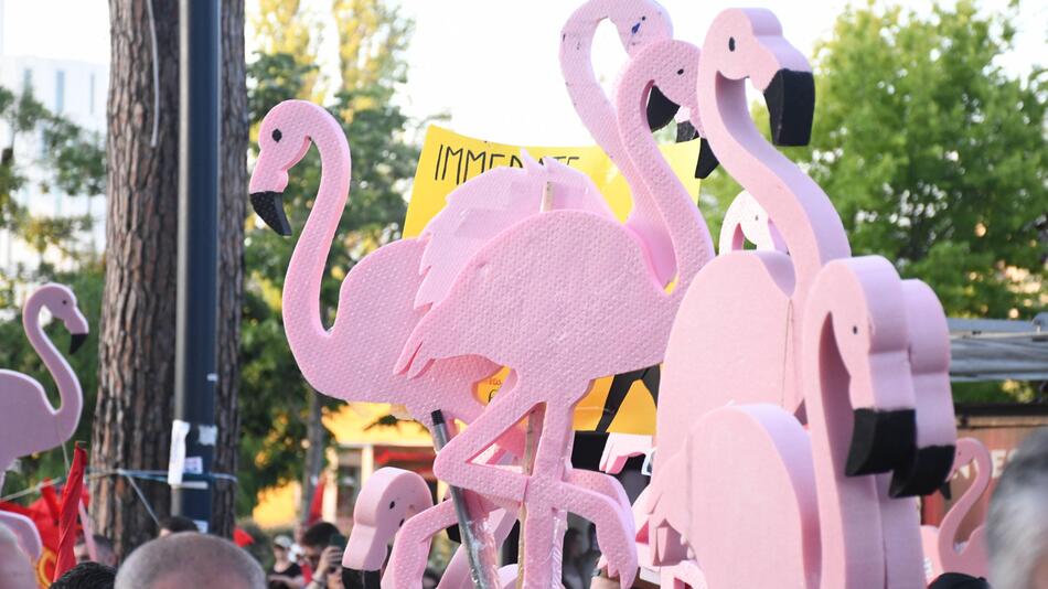 Pinker Protest in Albanien: "Mangelnde Transparenz, Arroganz - es reicht!"