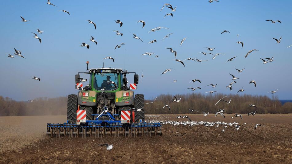 Landwirtschaft