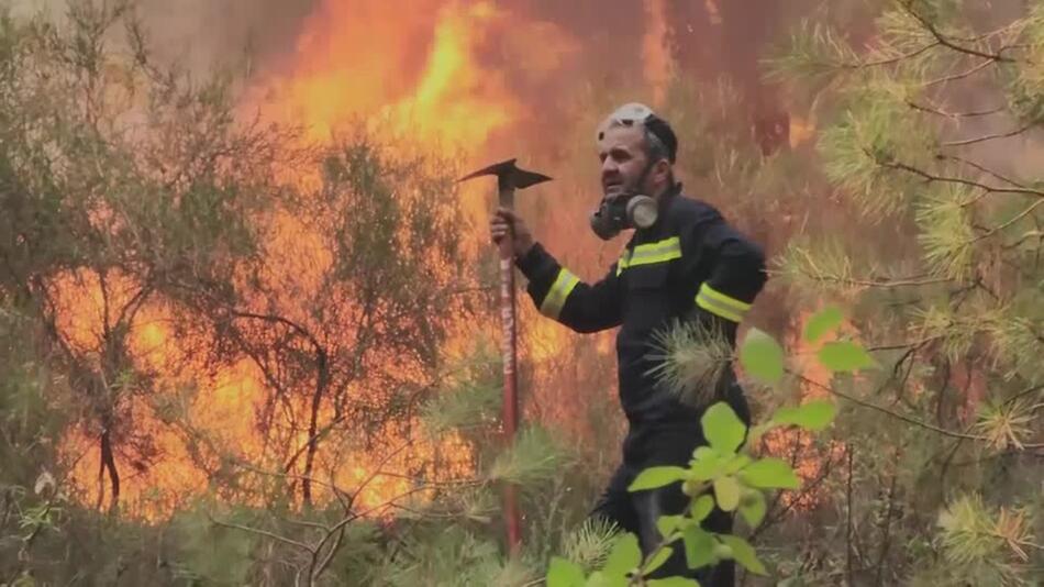 Kampf gegen Waldbrände in der Türkei und Portugal