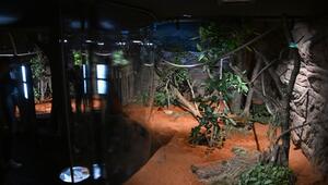 Terra Australis in der Wilhelma