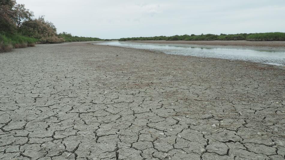 Klimawandel bedroht die Camargue