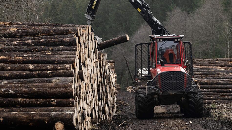 Landesforsten lösen Holzdepots im Harz auf