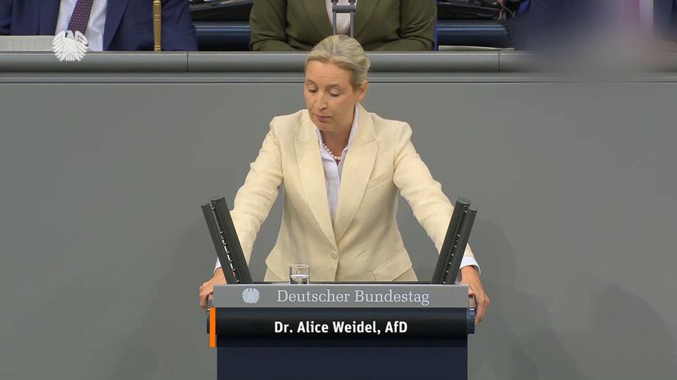 Streit im Bundestag: Weidel nennt Merz "Lügenkanzler"