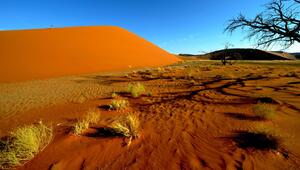 Sanddünen in Sossusvlei