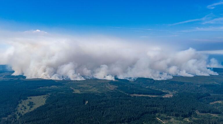 Waldbrand in Belgien