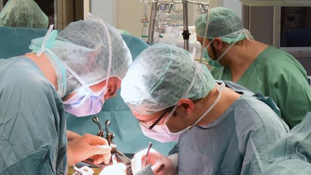Organspende