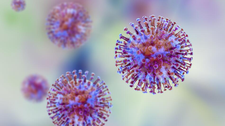 Hantavirus