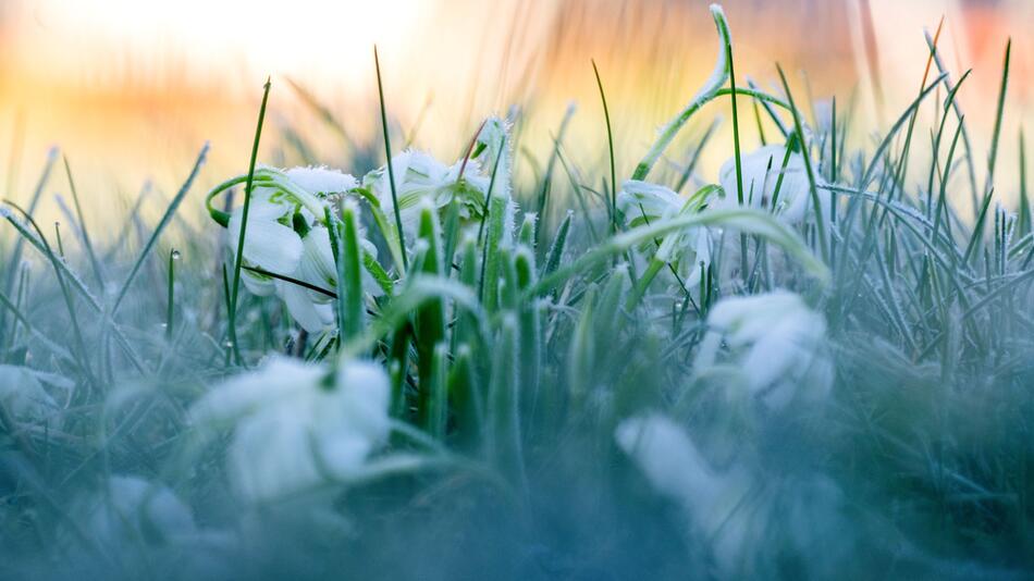 Frostiges Wetter