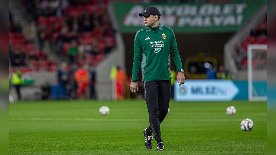 Adam Szalai brach am Samstagabend im Amsterdamer Stadion zusammen.