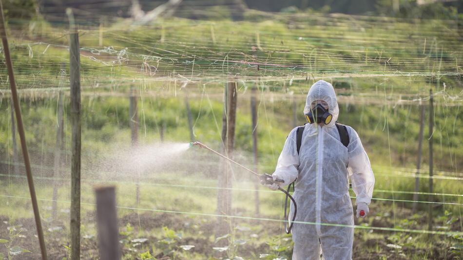 Eine Frau sprüht Pestizide auf Felder.