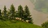 Gletscherabbruch im Wallis